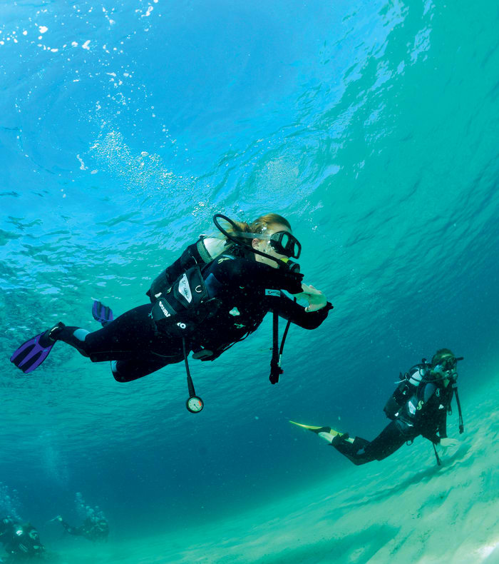 Dykning specielt for begyndere og udforskningsdykning på Martinique i 15 dage