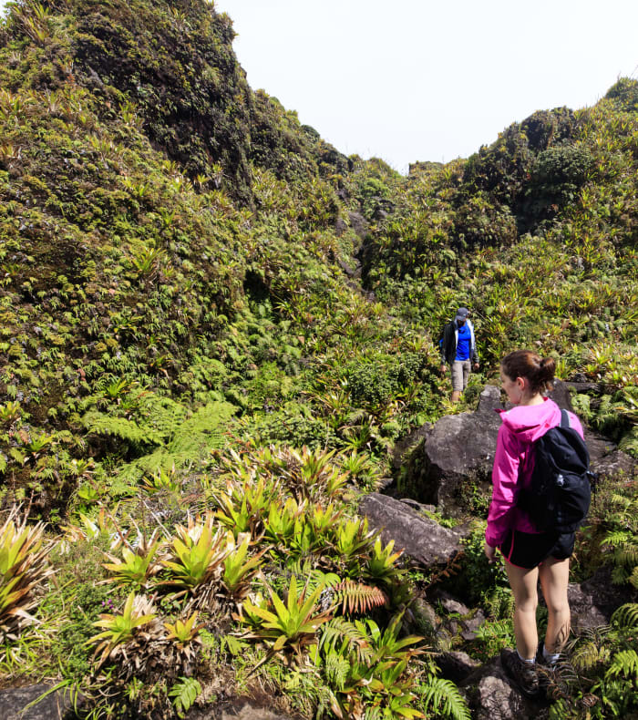Plongée Spécial Débutant et Randonnée Caraïbes en 15 jours