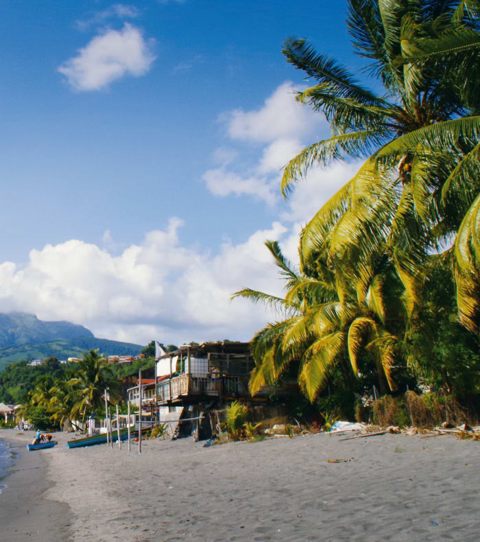 Plongée Spécial Débutant et Randonnée Caraïbes en 15 jours