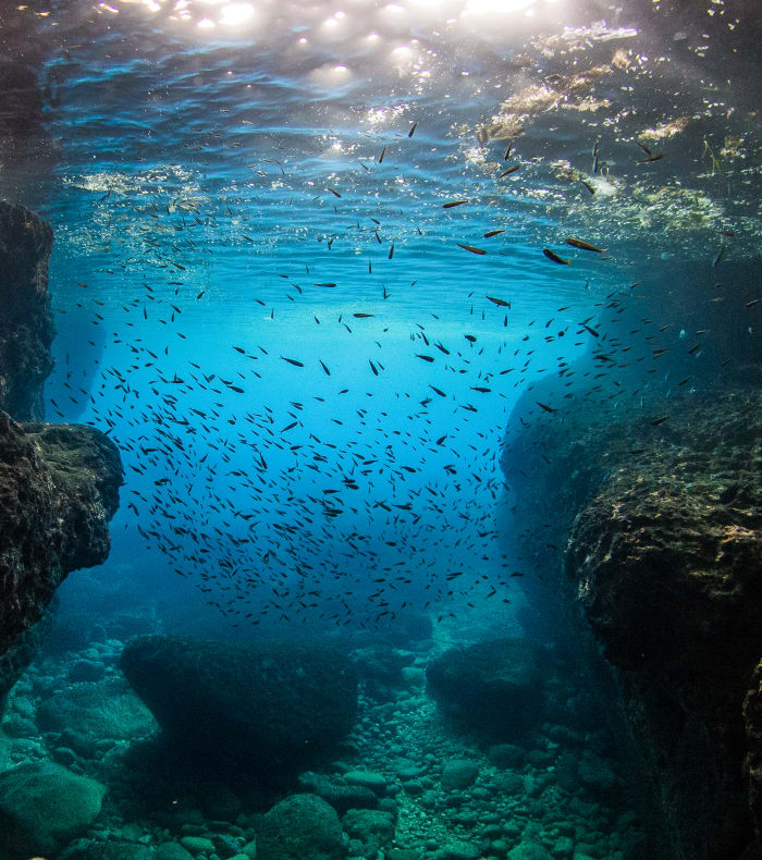 Dykning for begyndere