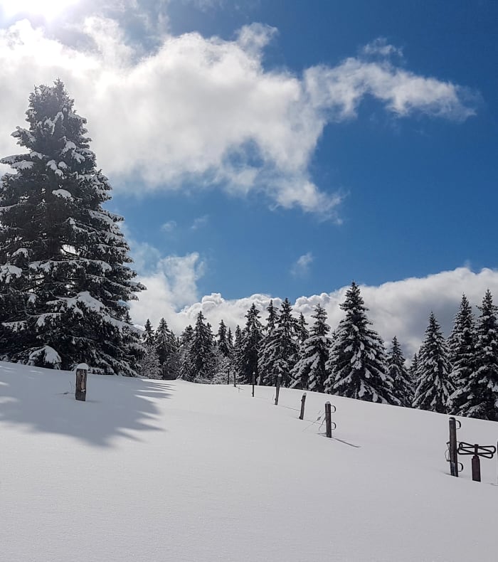 Premier raid ski et pulka dans le Jura