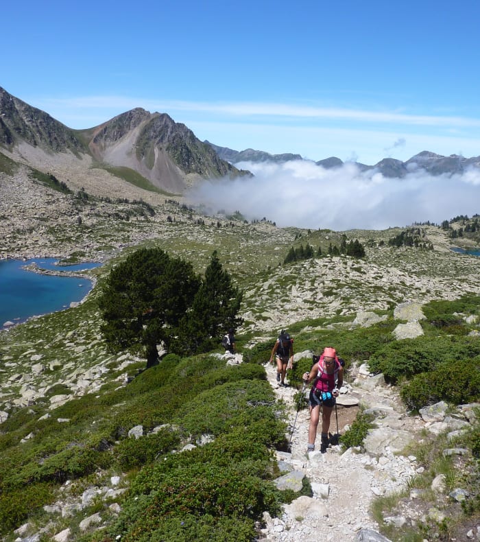 Pyrénées sans frontière