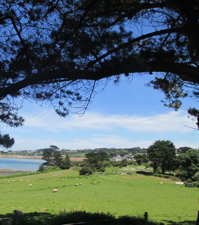 Quiétude en Baie de Morlaix