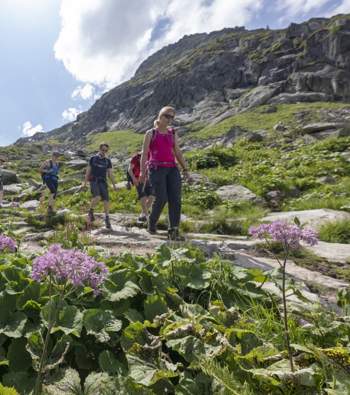 Raid sauvage au Grand Paradis
