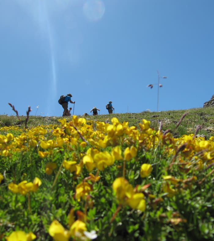 Rando, yoga et bien-être