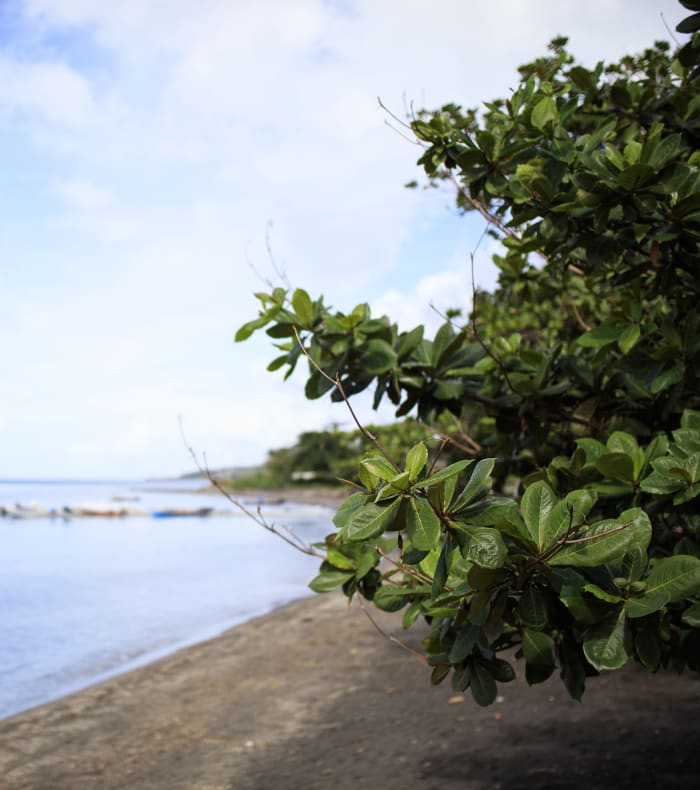 Rando Caraïbes 11 jours