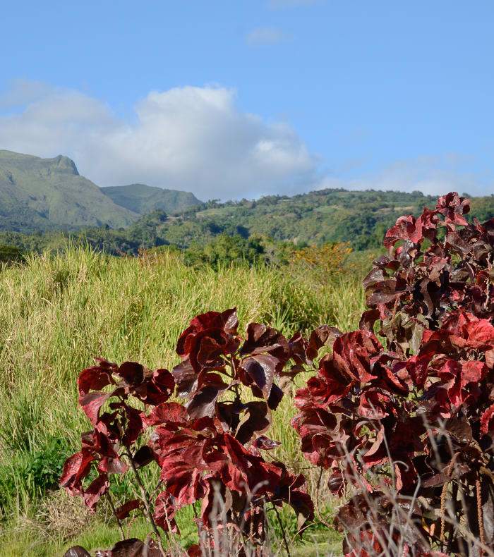 Rando Caraïbes 8 jours
