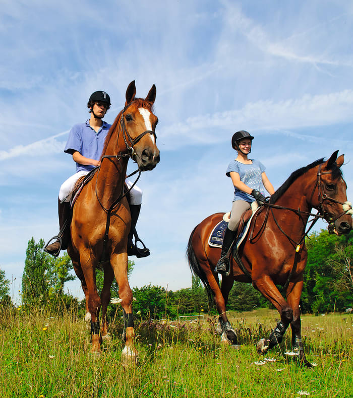 Rando Equitation au coeur du Cantal