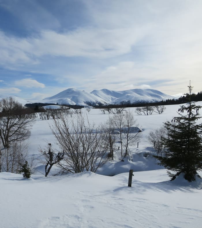 Rando hivernale et bien être en Auvergne 