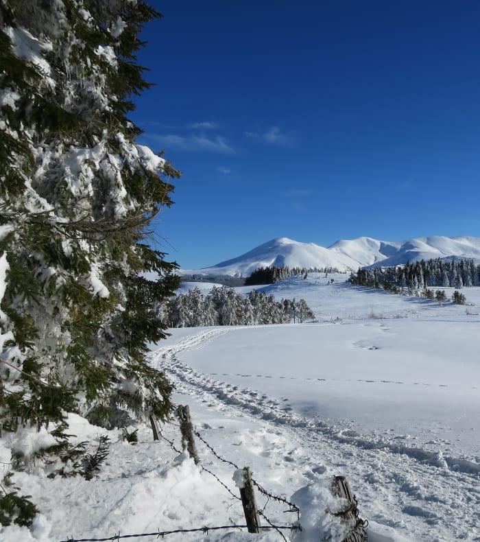 Rando hivernale et bien être en Auvergne 
