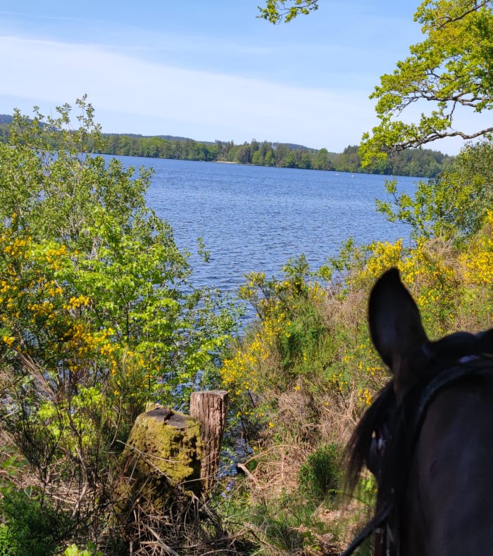 Rando liberté en Morvan