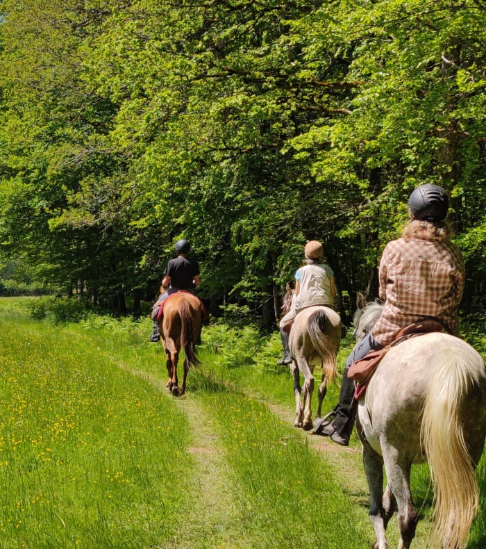 Rando liberté en Morvan