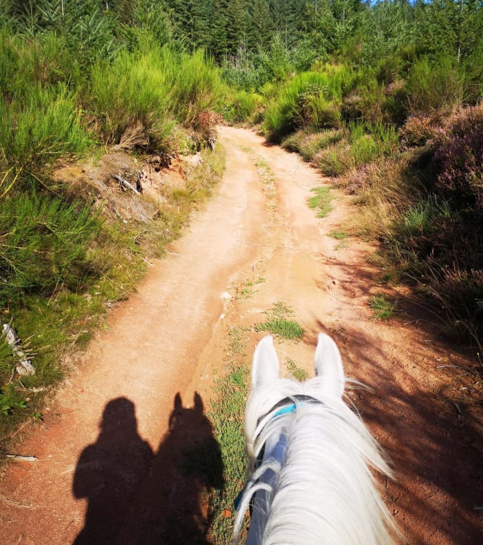 Rando liberté en Morvan
