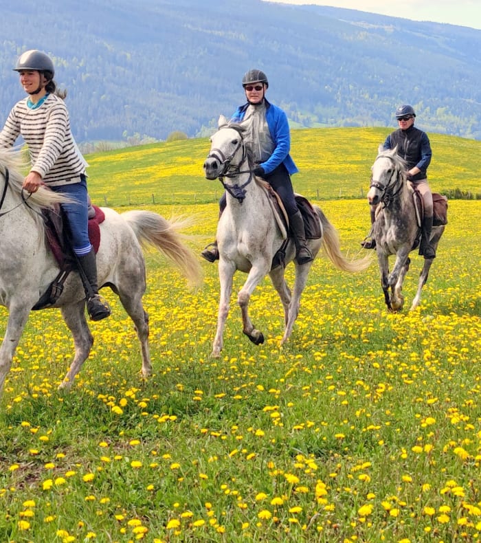 Rando liberté en Morvan