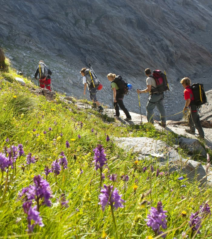 Vandreyoga og velvære