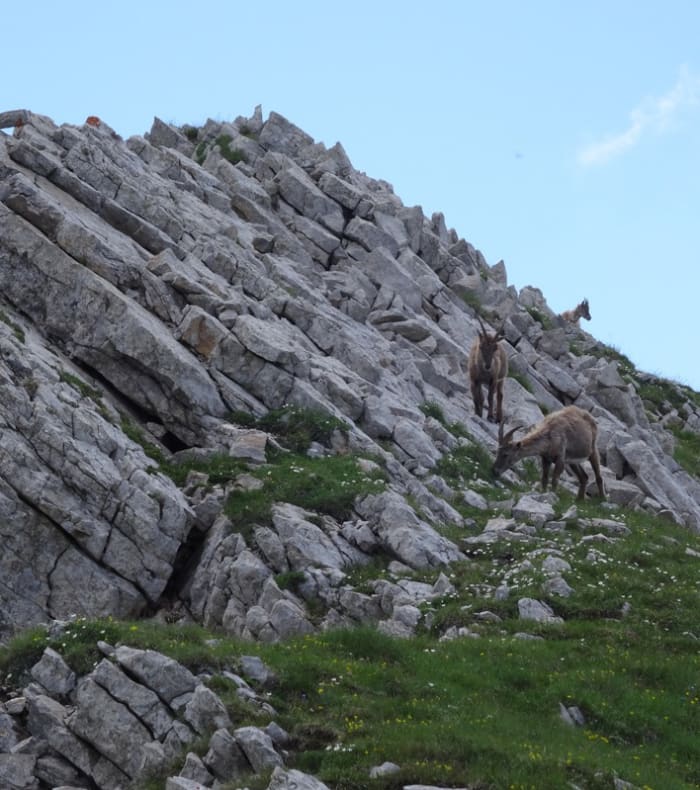 Rando Yoga dans le Vercors, nature et bien-être