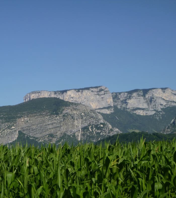 Rando Yoga dans le Vercors, nature et bien-être