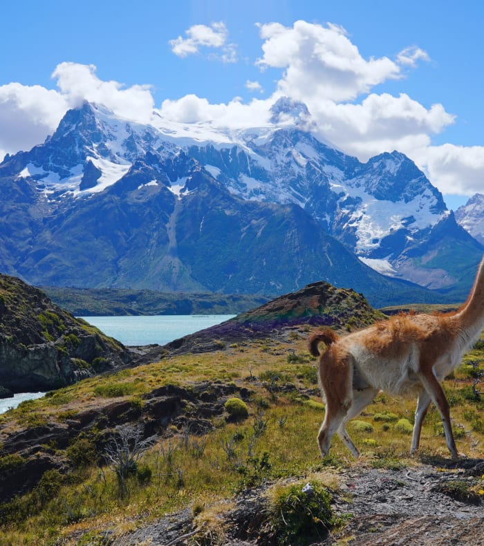 Randos en Patagonie