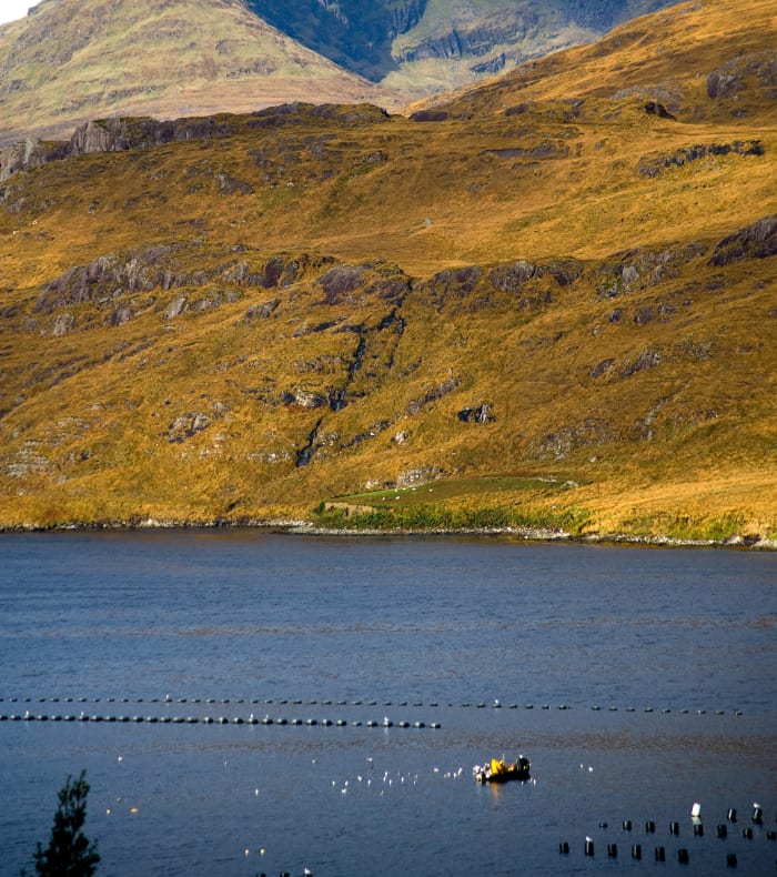 Randos et vélo au Connemara 18 - 30 ans