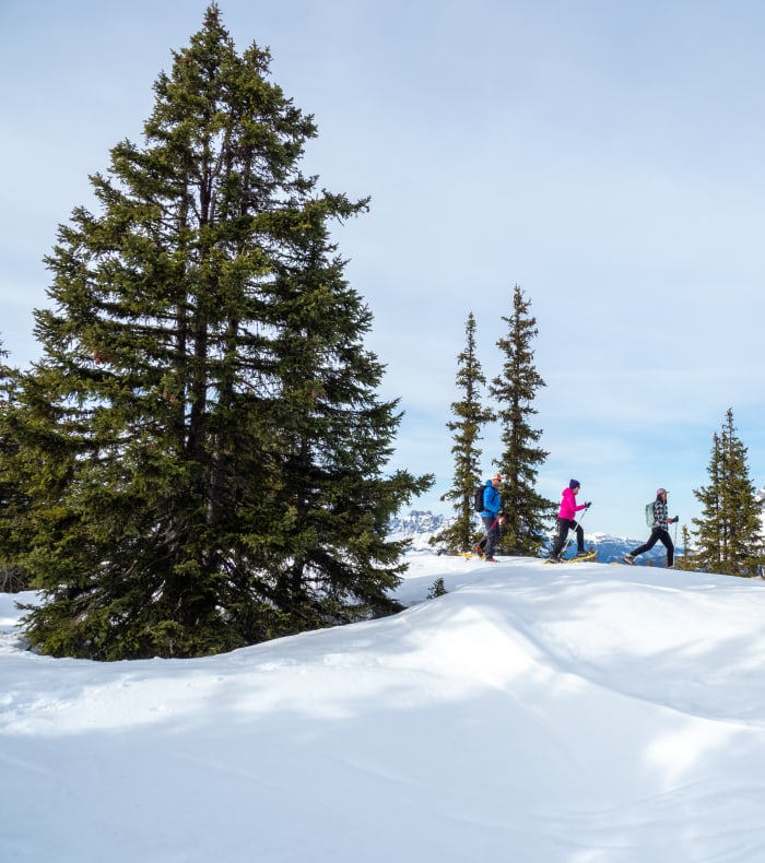 Raquettes altitude Ecrin