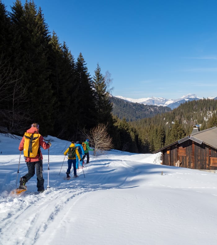 Sneskostur i Alperne (Ecrin)