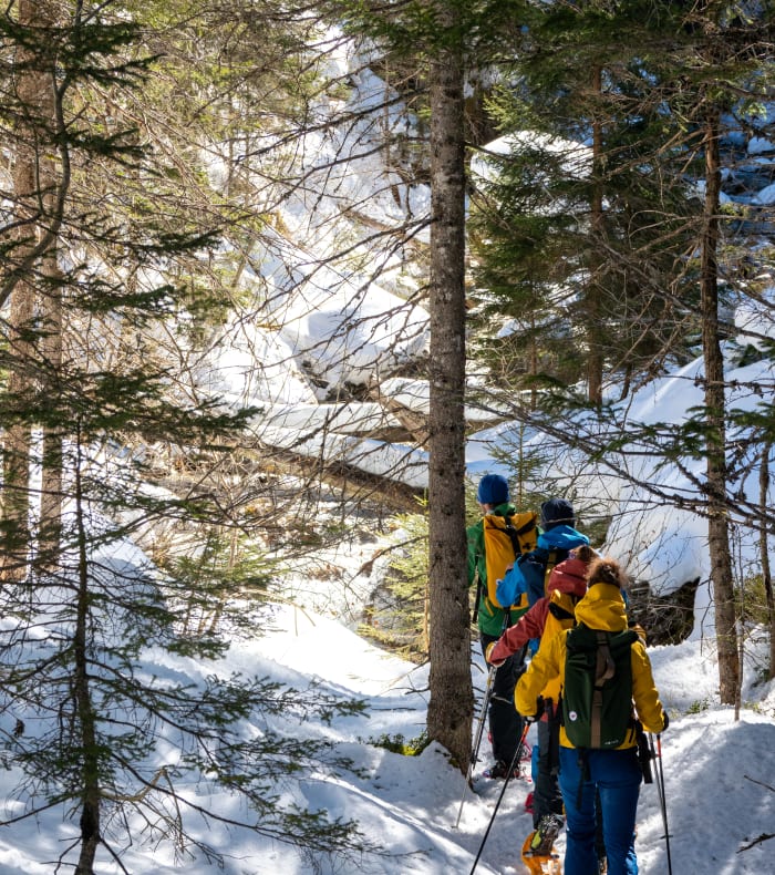 Raquettes au Pays du Mont Blanc