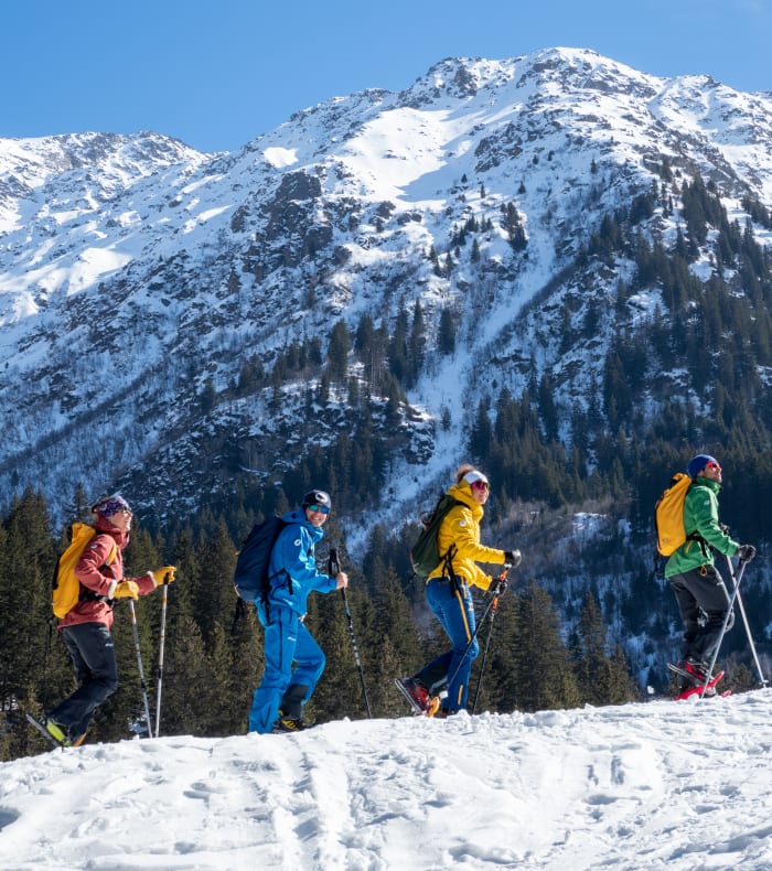 Sneskoture i Mont Blanc-landet