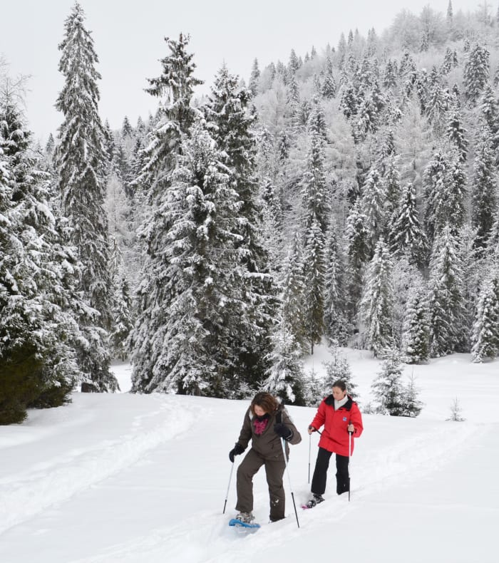 Raquettes dans les Beskides