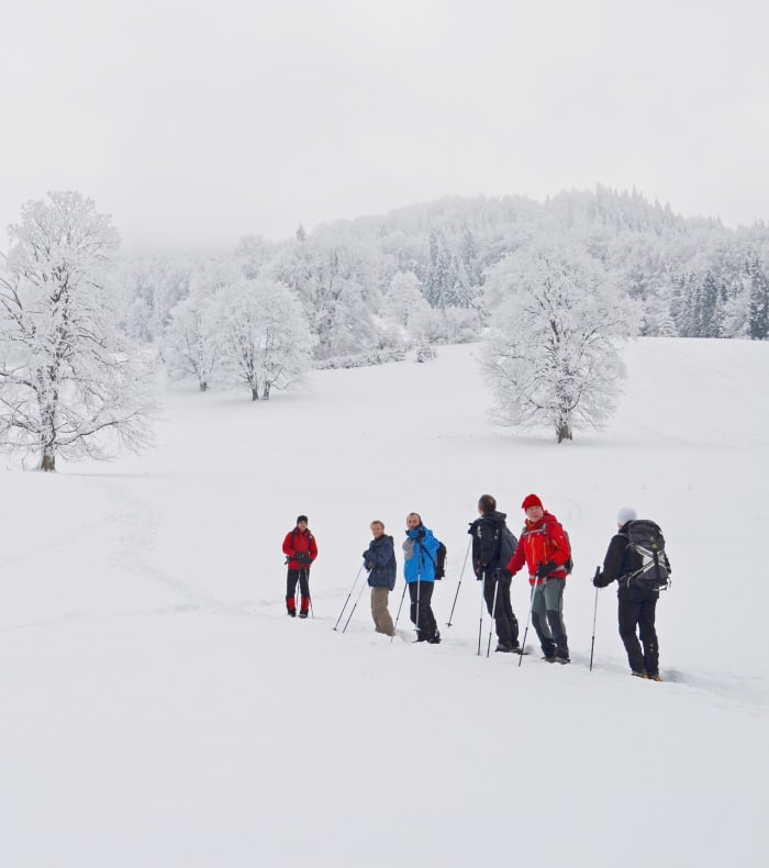 Raquettes dans les Beskides