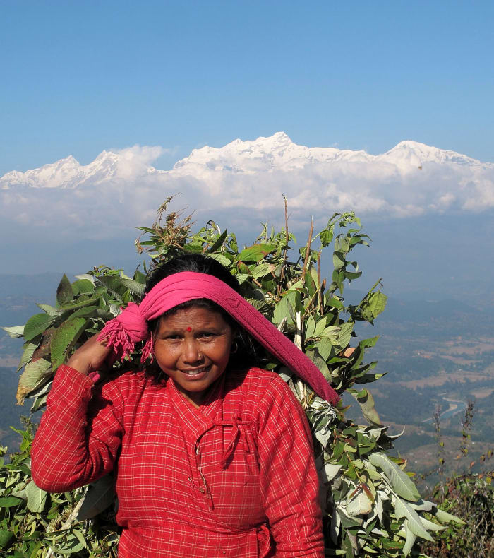 Sanctuaire des Annapurnas - Eté 26