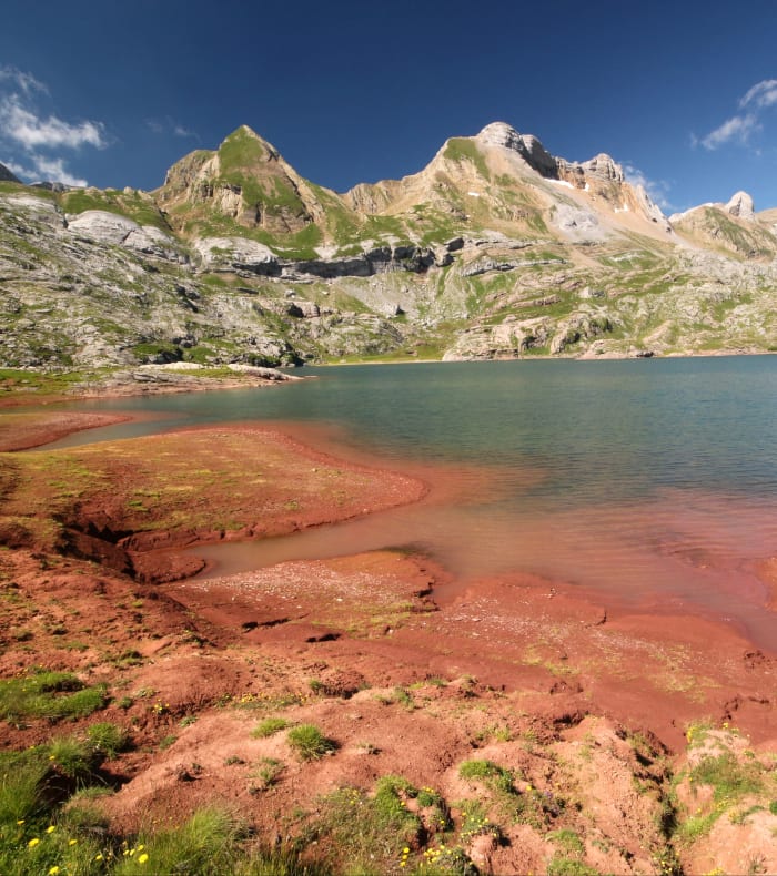 Savoirs et saveurs de la Vallée d'Aspe