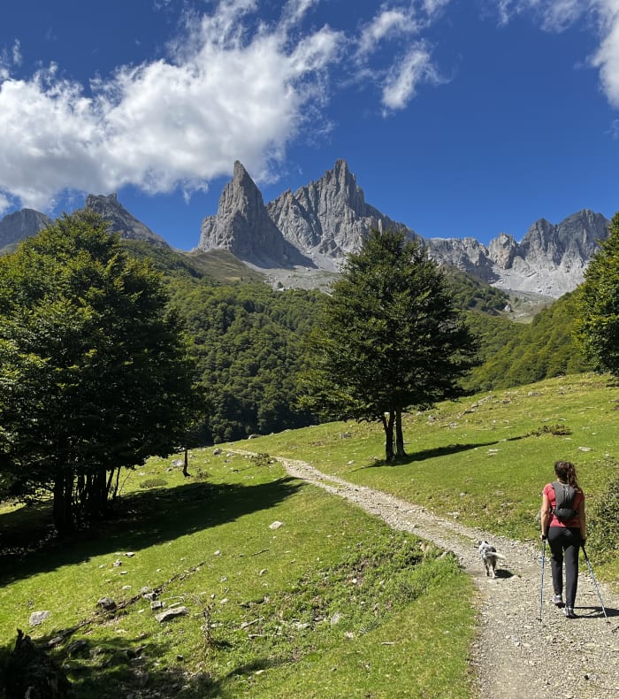 Savoirs et saveurs de la Vallée d'Aspe