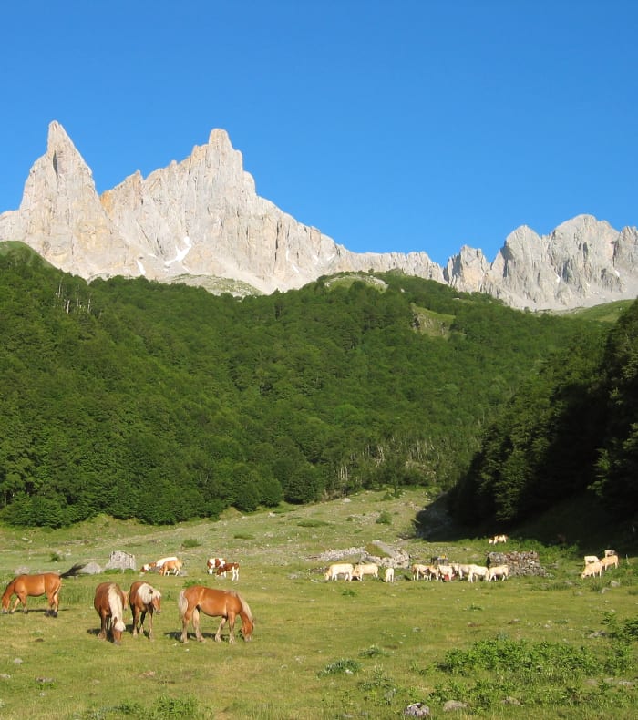 Savoirs et saveurs de la Vallée d'Aspe