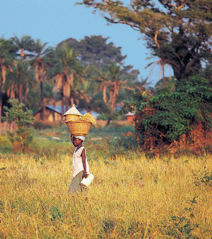 Secrets de Casamance