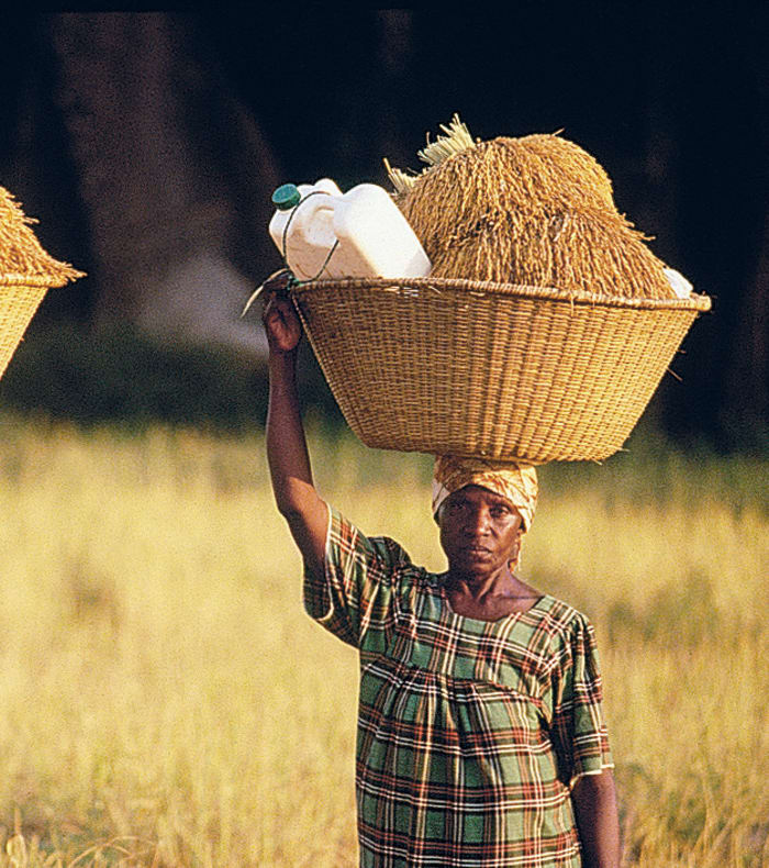 Secrets de Casamance