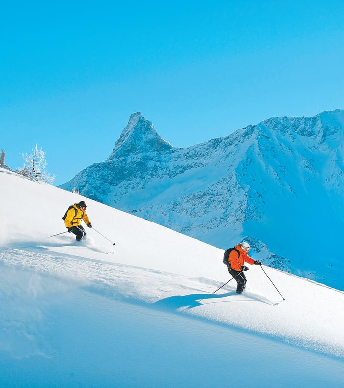 Ski freerando et Vallée Blanche