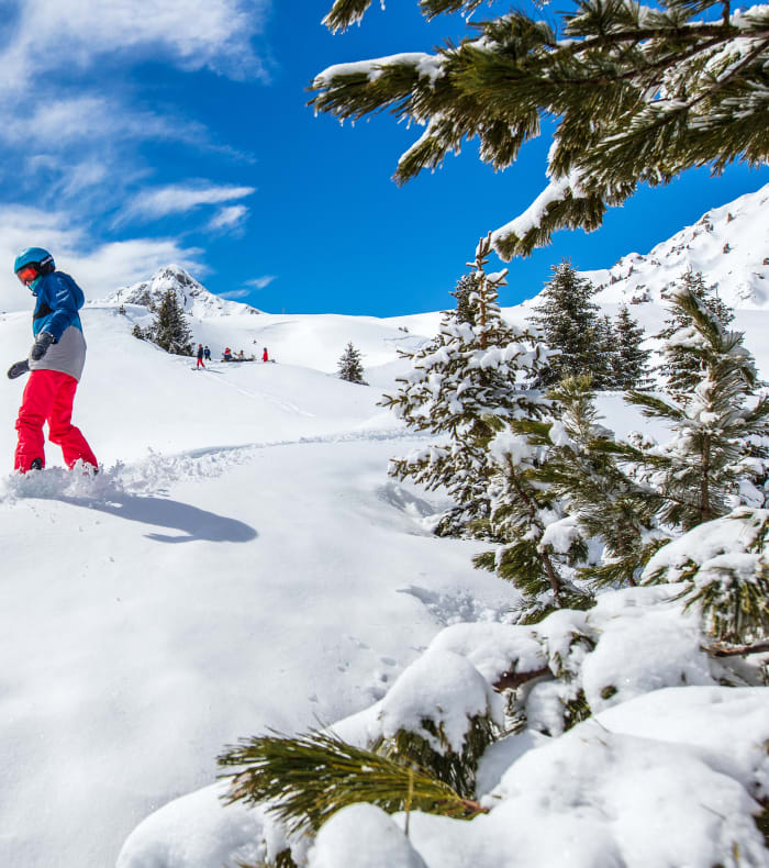 Snowboard Pack Mi-temps