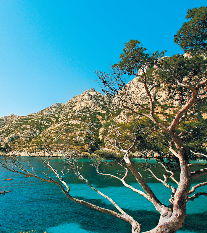 Multisport Calanques - Happy Summer