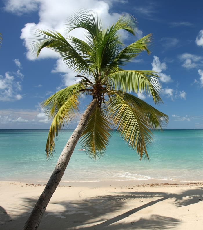 Sport Mix Martinique 11 dage