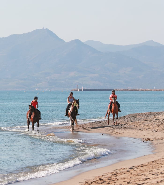 Multisport Saint-Cyp à la carte