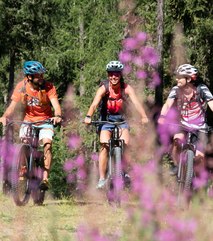 Multisport Découverte