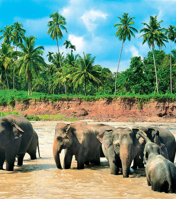 Sri Lanka et Maldives