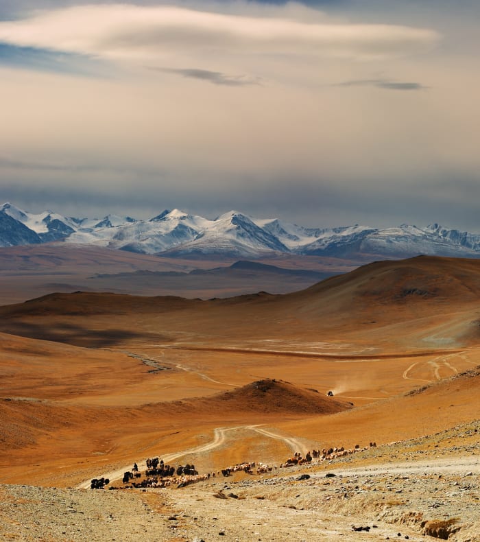 Khangai-stepper og lærketræer