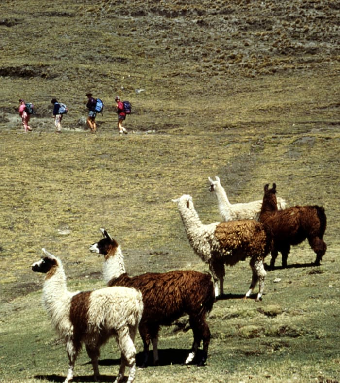 Sur le toit des Andes