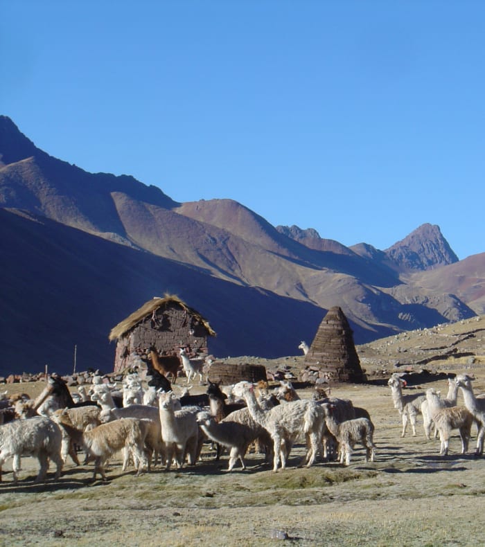På Andesbjergenes tag