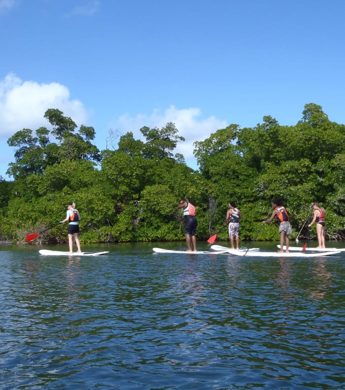 Surf & Multiglisse 8 jours