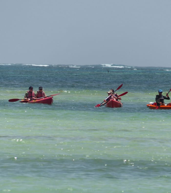 Surf & Multiglisse 8 jours