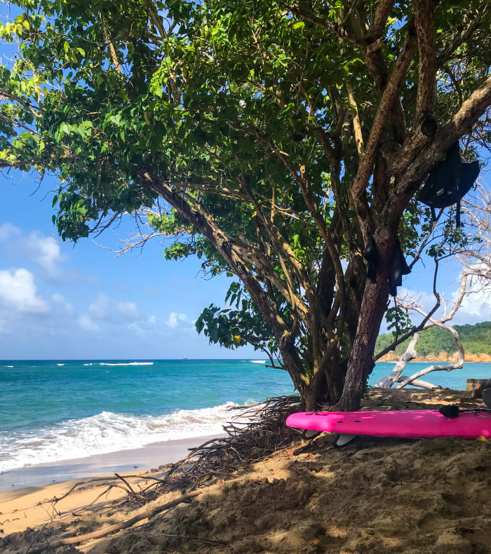 Surf & Multiglisse 8 dage