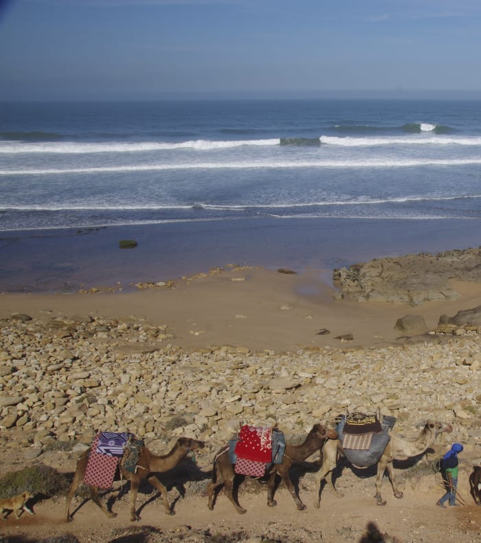 Surf Coaching Forbedring