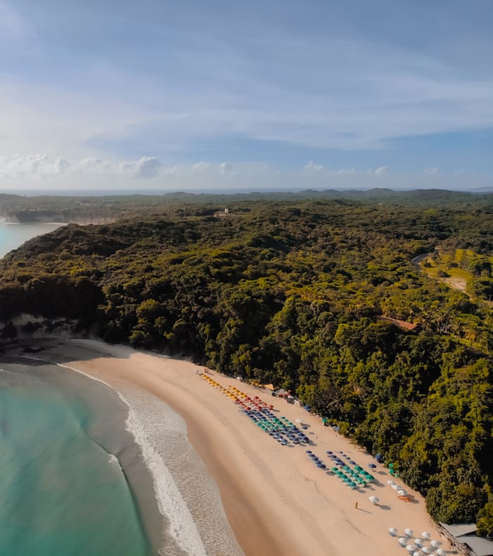 Surf Coaching for Advanced Beginners